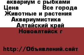 аквариум с рыбками › Цена ­ 1 000 - Все города Животные и растения » Аквариумистика   . Алтайский край,Новоалтайск г.